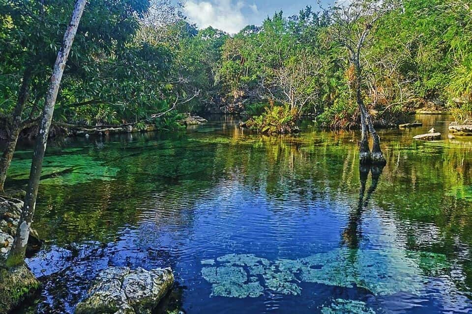 Cenote Azul Tulum