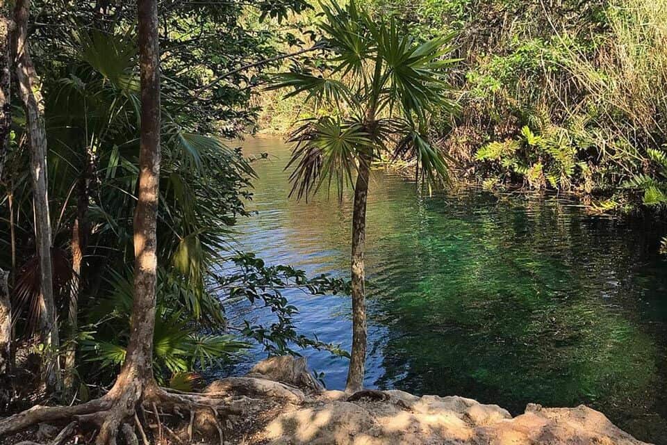 Cenote Escondido Tulum Mexico