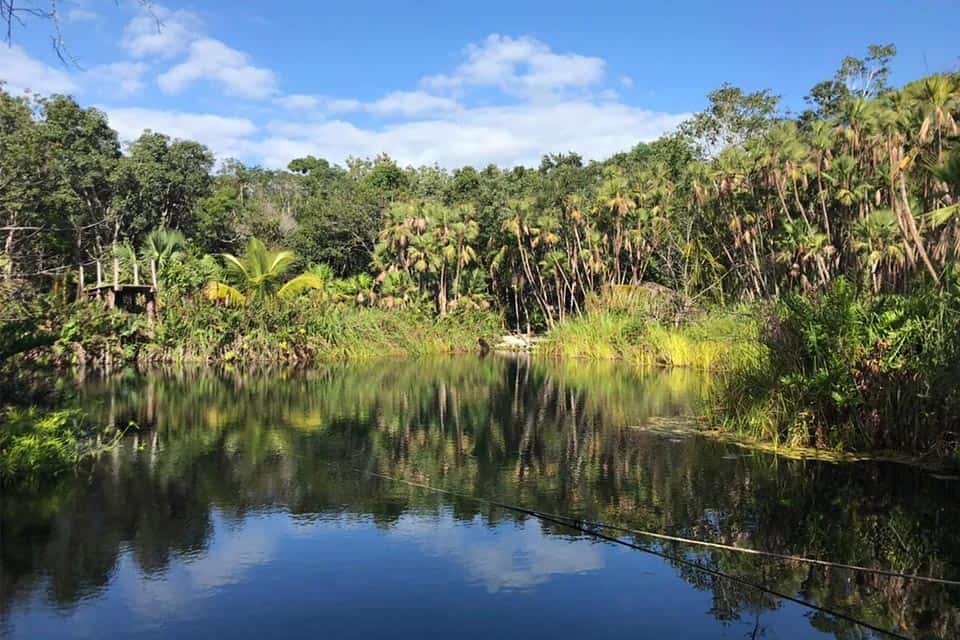 Crystal Cenote Near Tulum For Swimming