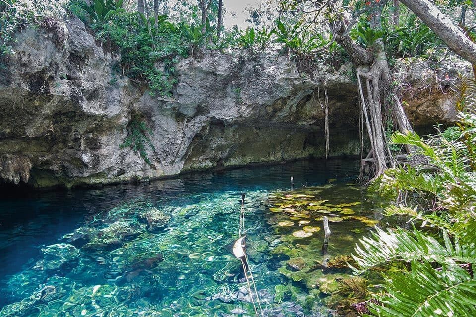 Gran Cenote Tulum Mexico