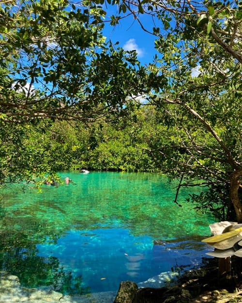 Open Cenote Mexico