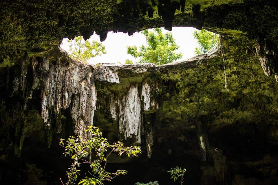 Semi-Open-Cenote-Yucatan Mexico