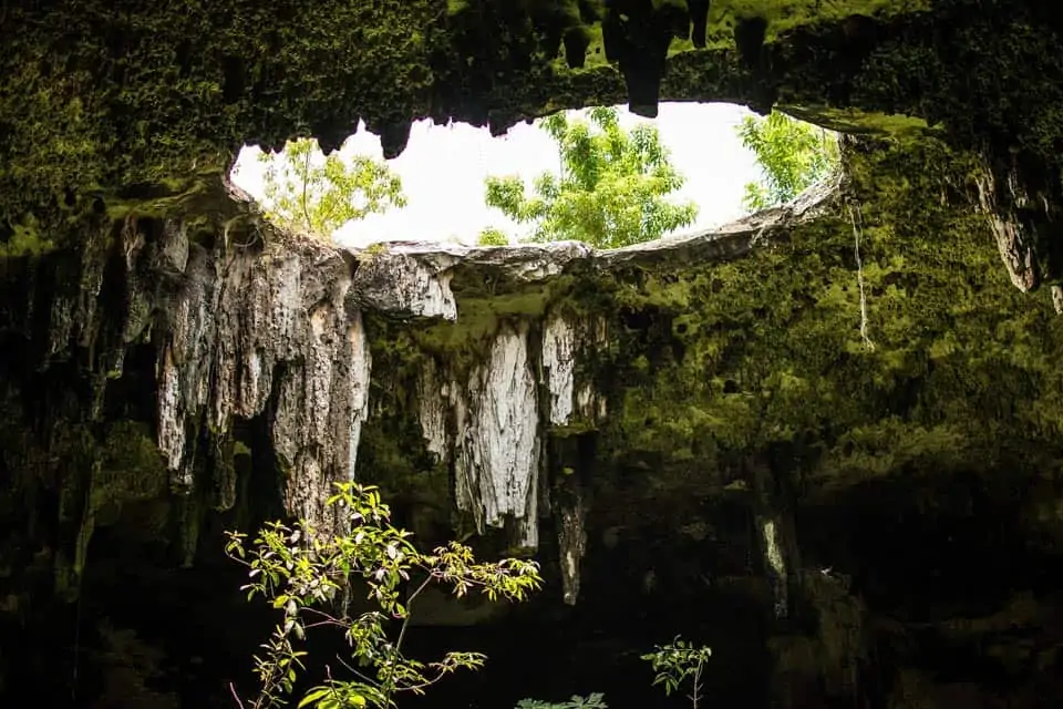 Semi-Open-Cenote-Yucatan Mexico