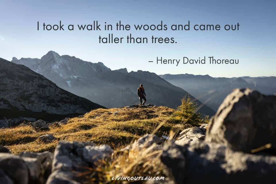 Hiking In Nature Quotes