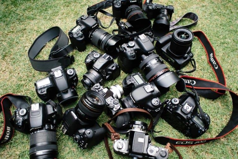 10 Best Cameras for Bloggers (From a Full-Time Blogger!)