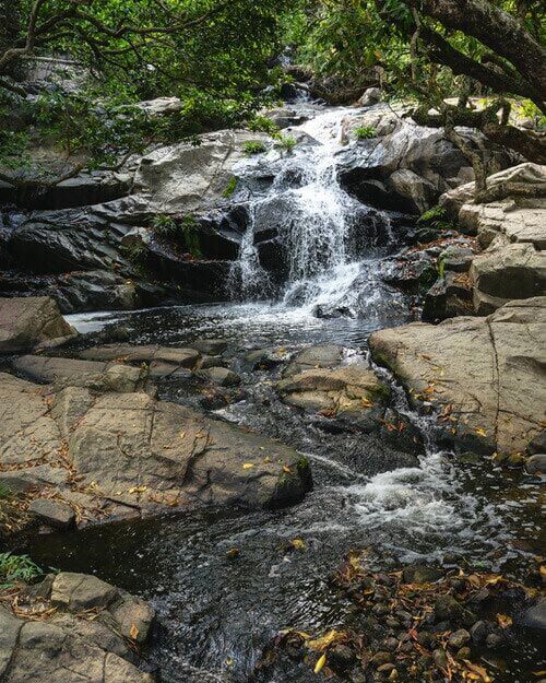 Little Hawaii Falls Hong Kong