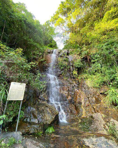 Lugard Falls Hong Kong Island