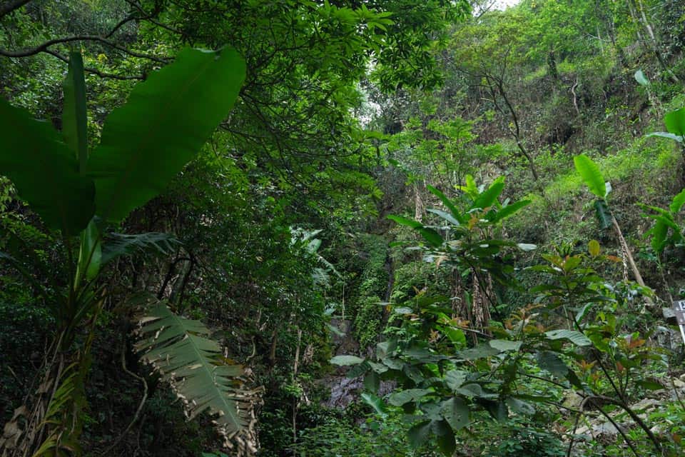 Ng Tung Chai Hike Hong Kong