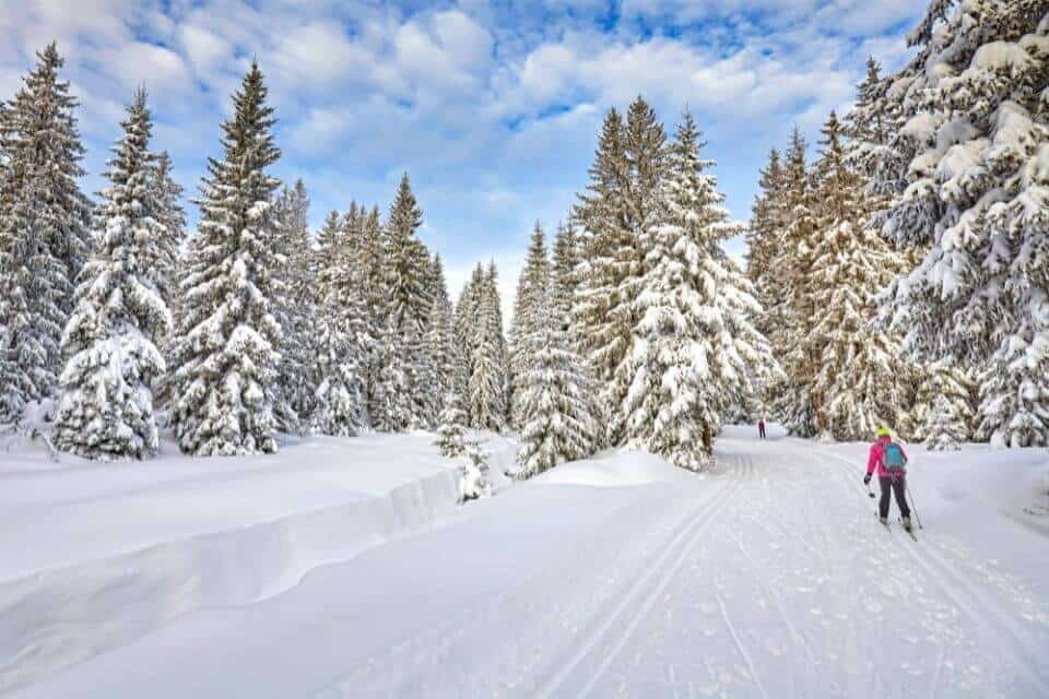 Cross Country Skiing in Banff