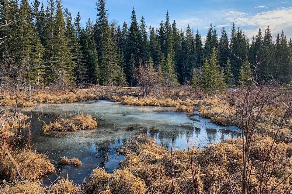 Hinton Town Alberta