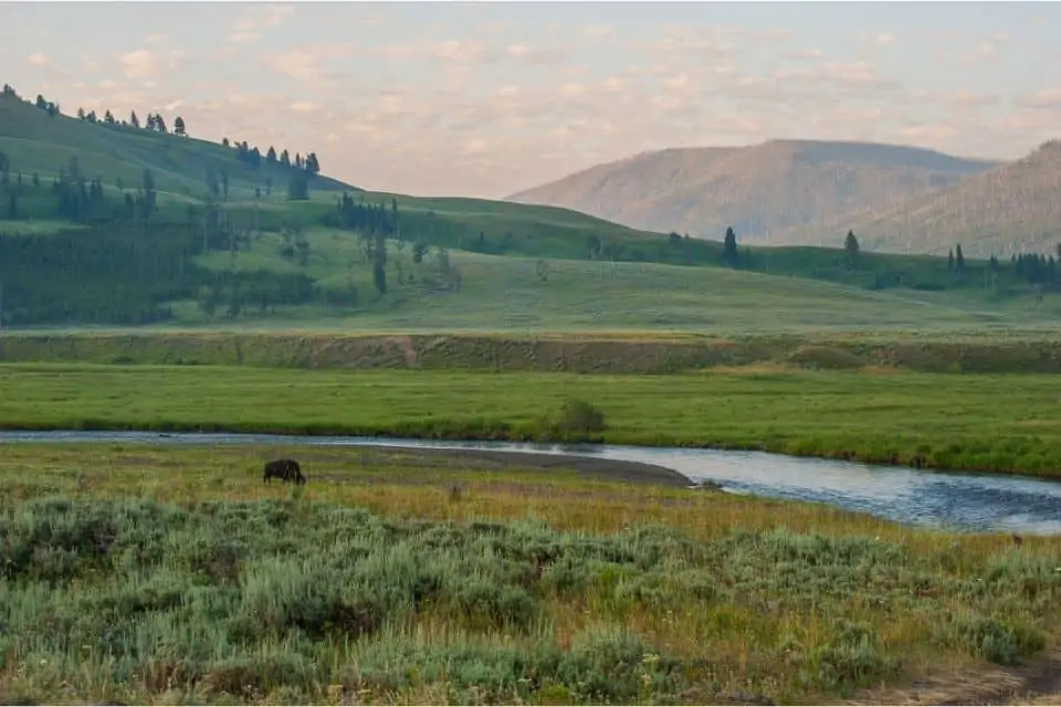 Lamar Valley Yellowstone