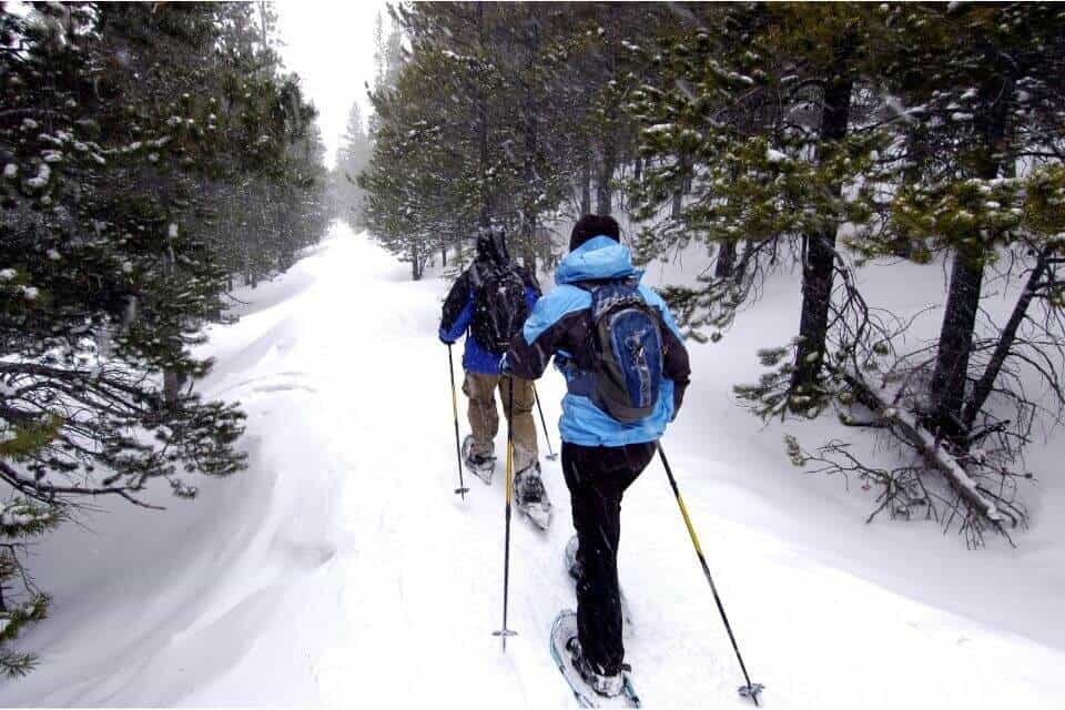 Snowshoeing in Banff