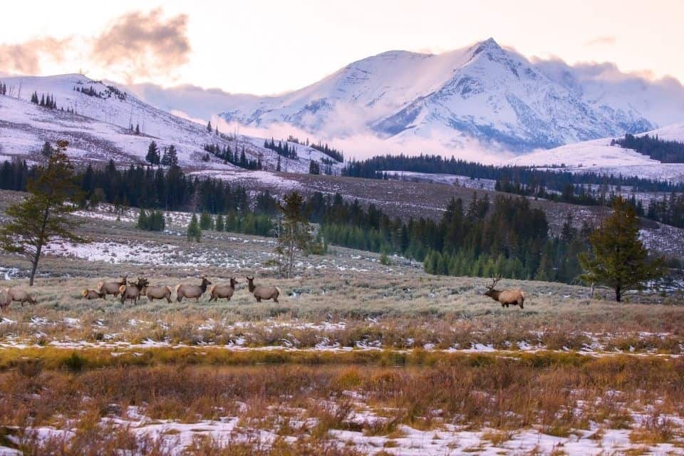 Sunset In Yellowstone in September