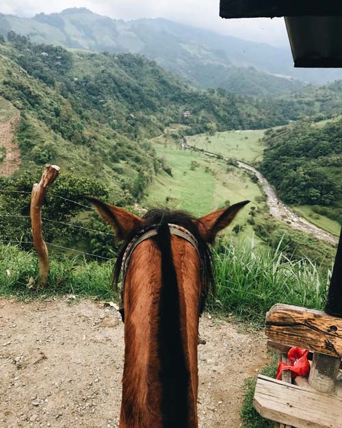 Horseback-Riding-Salento-Colombia