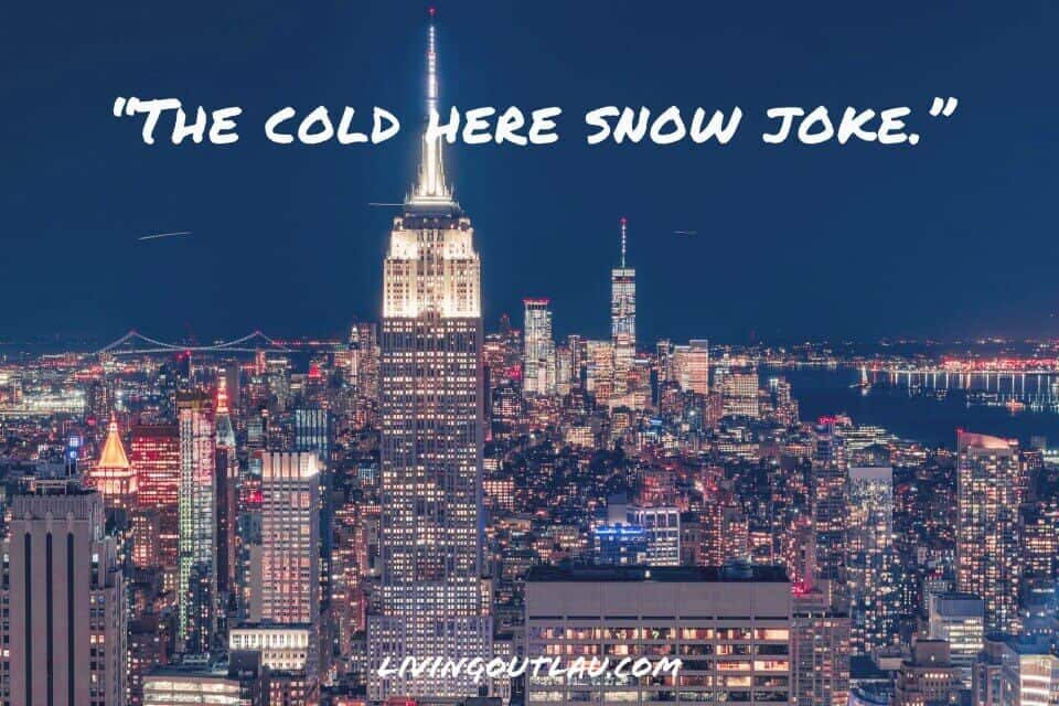 NYC Puns Captions