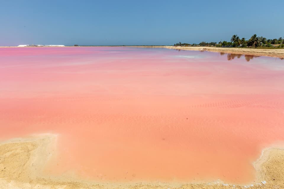 Las coloradas Yucatan Peninsula Activities