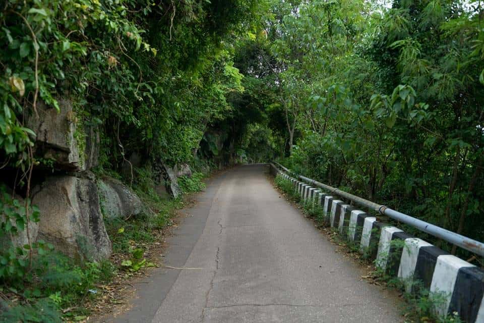 Cape D'Aguilar Hiking- rail