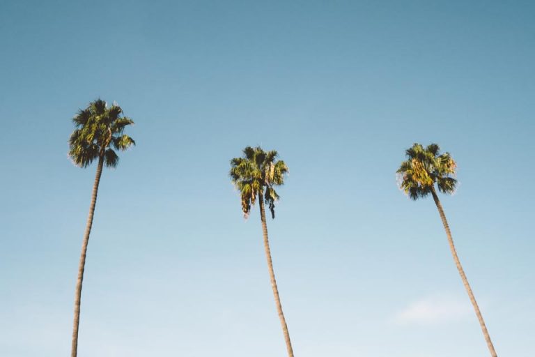 25+ Amazing Warm Places To Visit In December In USA