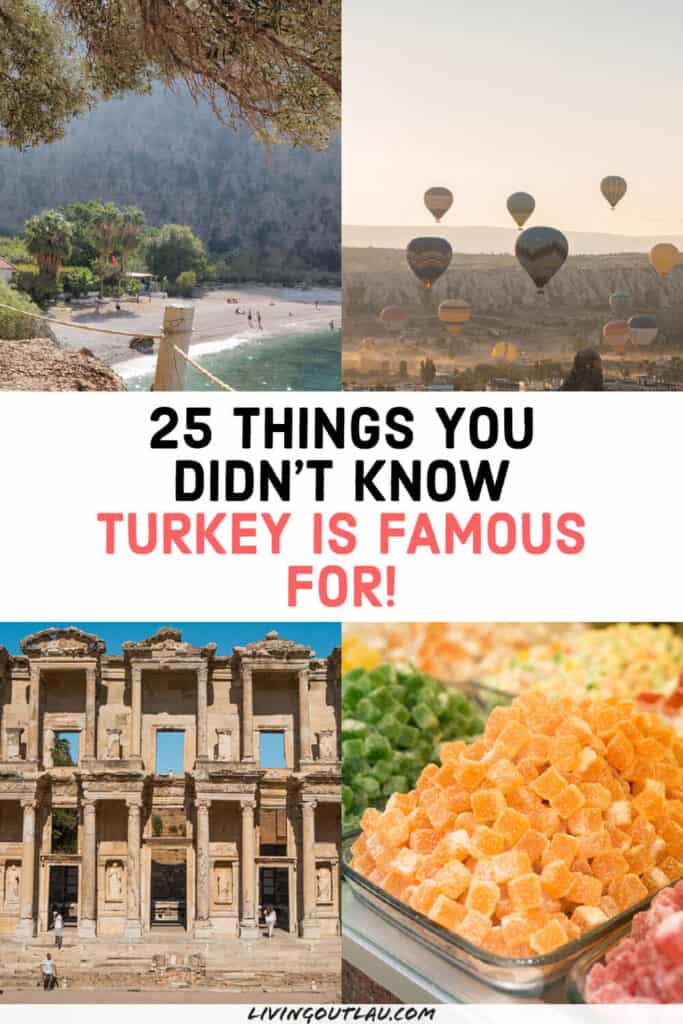 What is Turkey Known For Pinterest