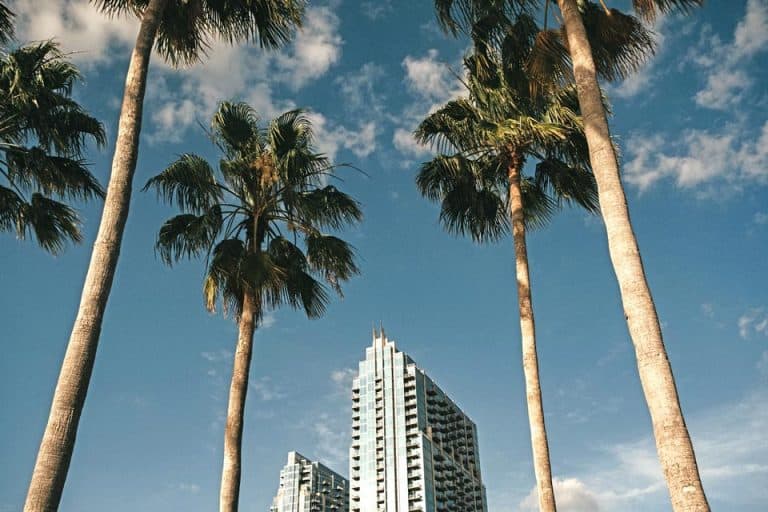 Where To Stay In Tampa: 10 Best Airbnbs in Tampa, Florida