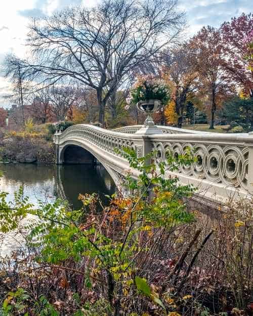 Bow Bridge Central Park