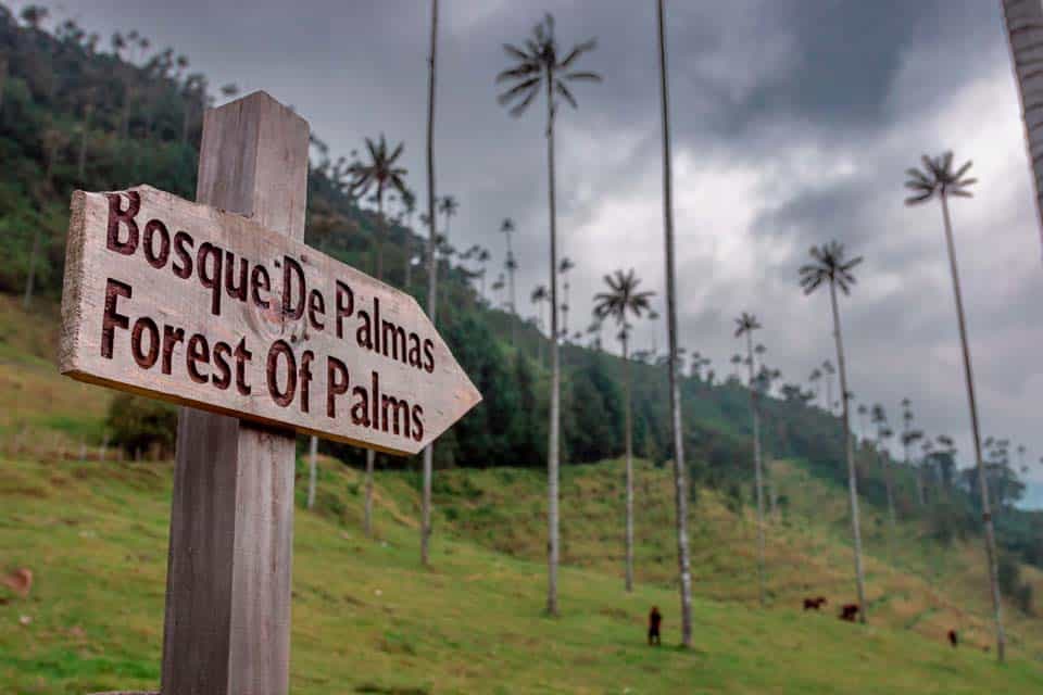 Cocora-Valley-Sign