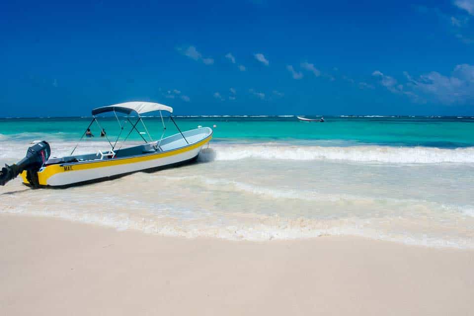 Sargassum-Seaweed-Tulum-Mexico