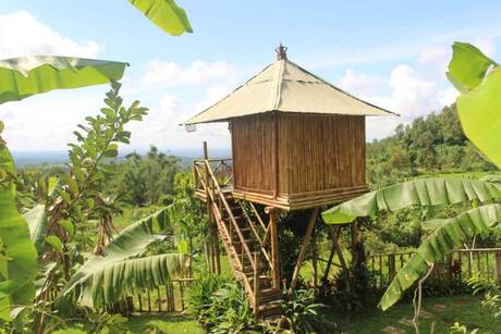 Bali TreeHouse Pelangi