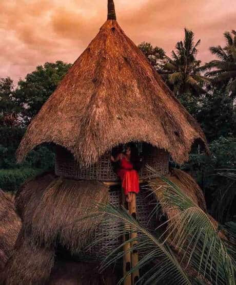 Firefly EcoLodge Bali