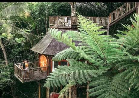 Hobbit Tree House Bali