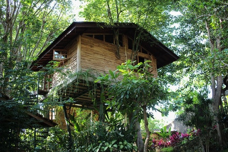Roots Tree House Bali (2)