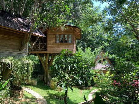Roots TreeHouse