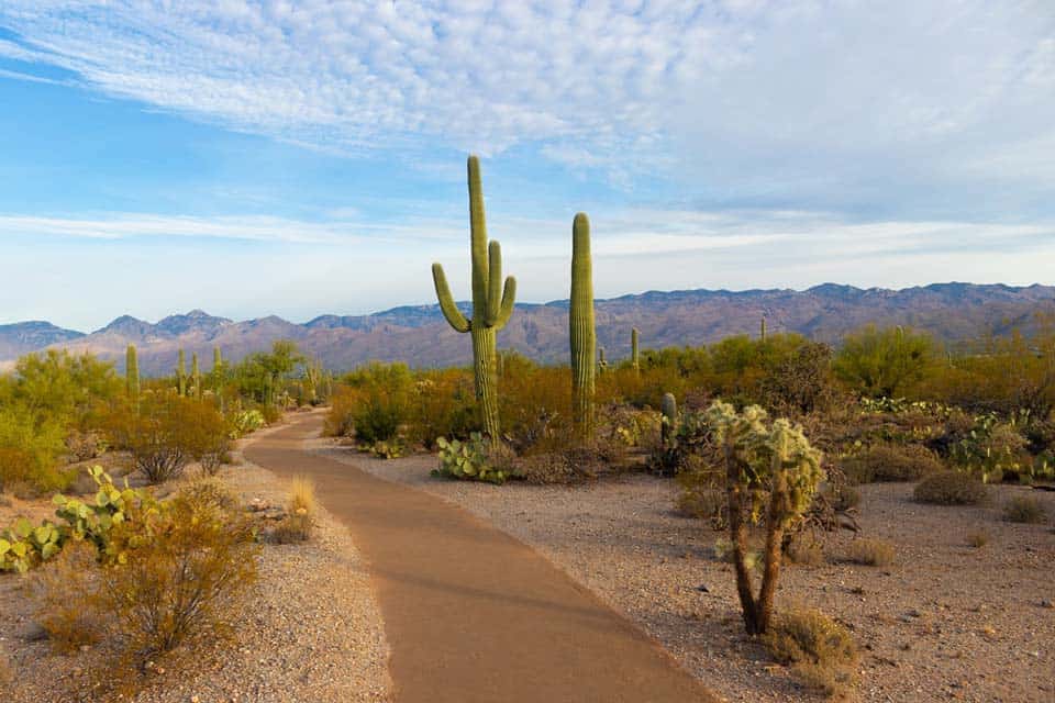 Tuscon-Arizona-January