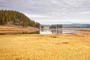 Yellowstone in October: Weather + Tips For Visiting!
