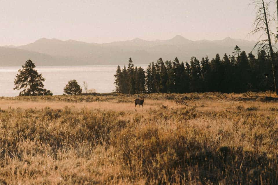 Yellowstone-October-Photography