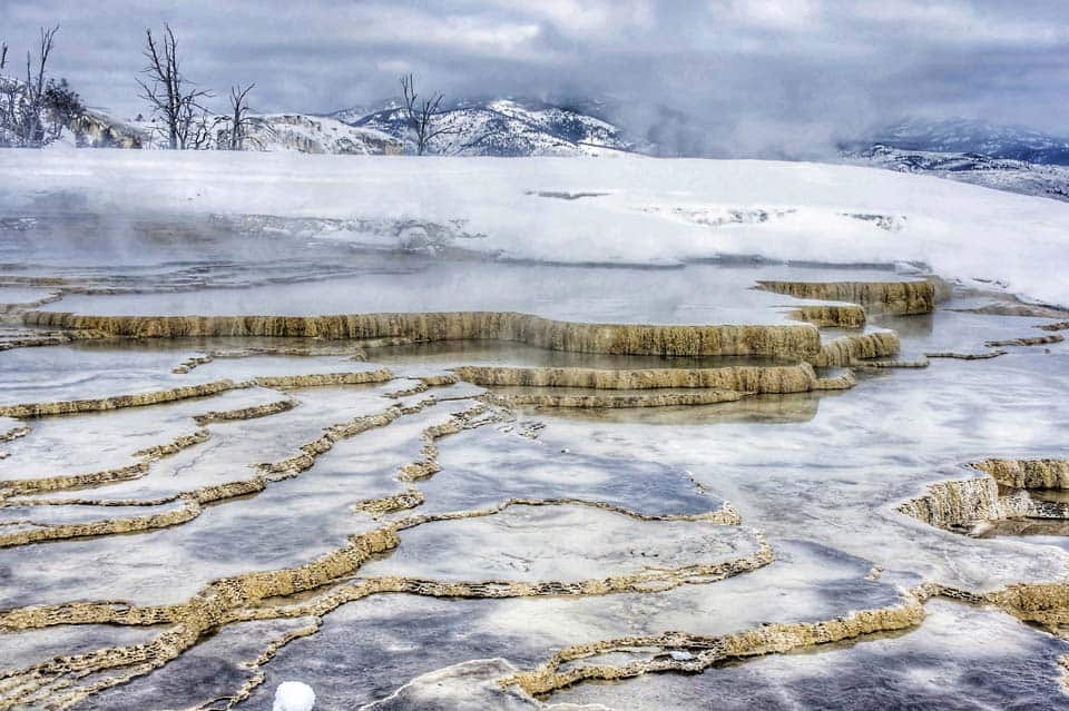 Mammoth-Hot-Springs-Winter