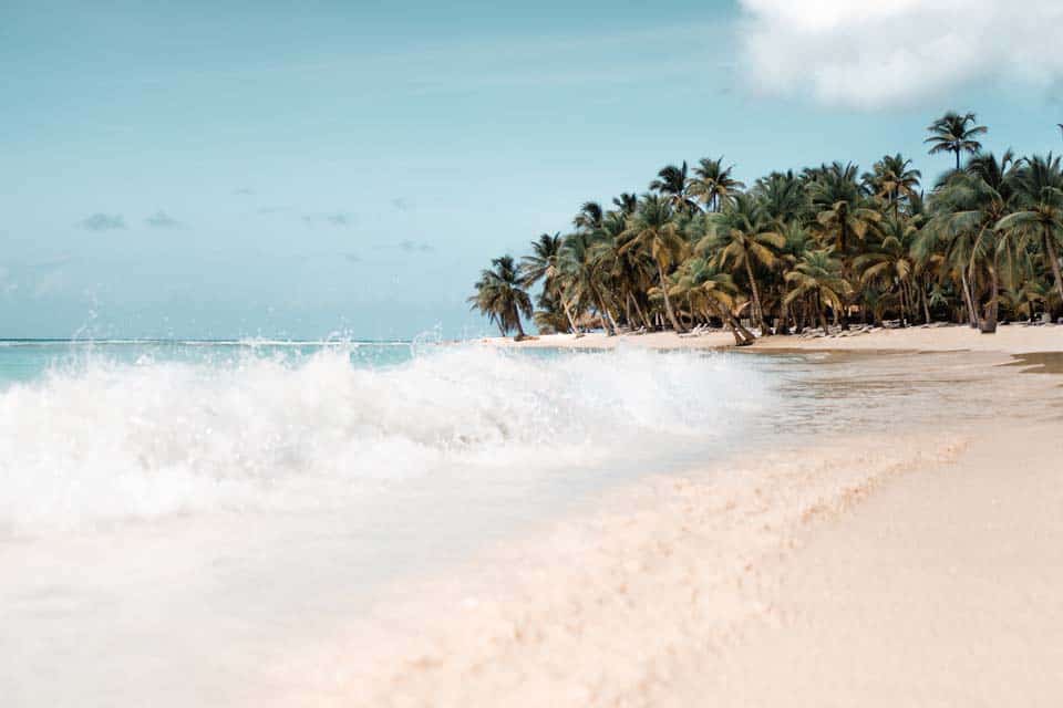 Sargassum-Seaweed-Tulum-December