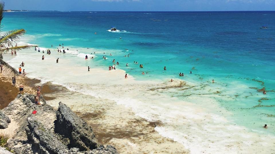 Seaweed April tulum