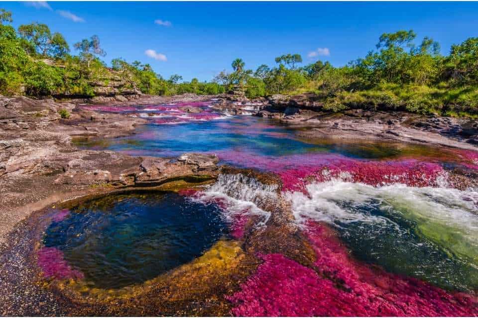 Cano Cristales Colombia