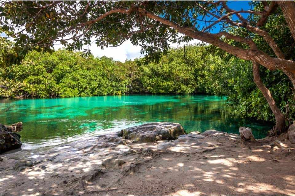 Cenote Tulum July