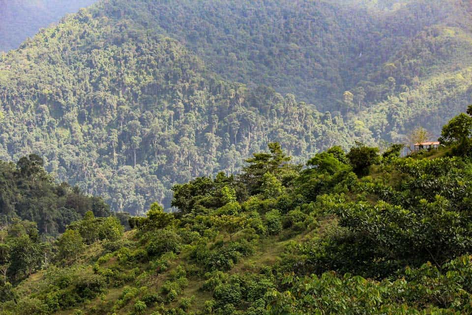 Colombia-Amazon-rainforest