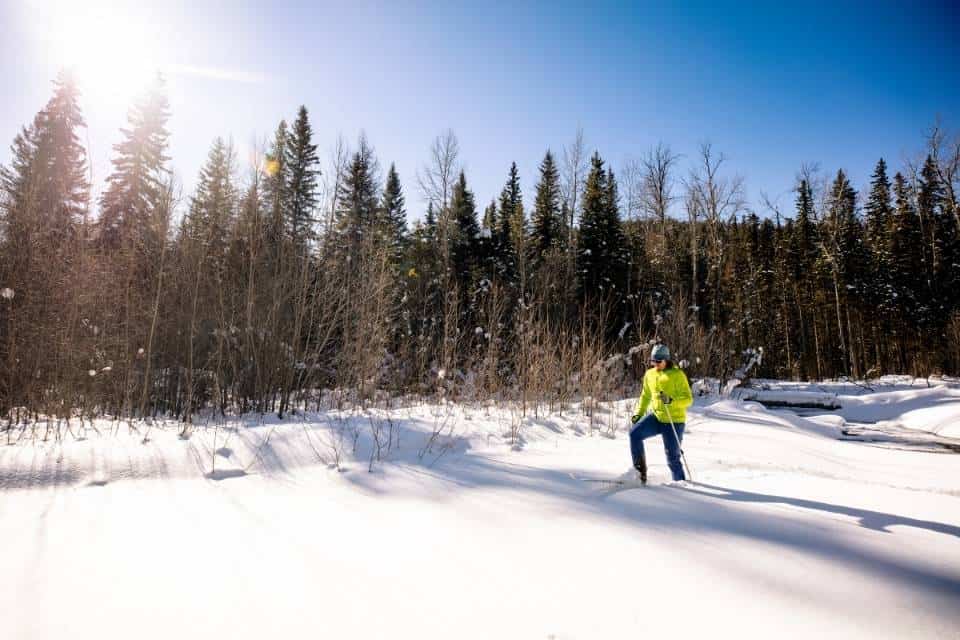 Cross Country Skiing West Yellowstone