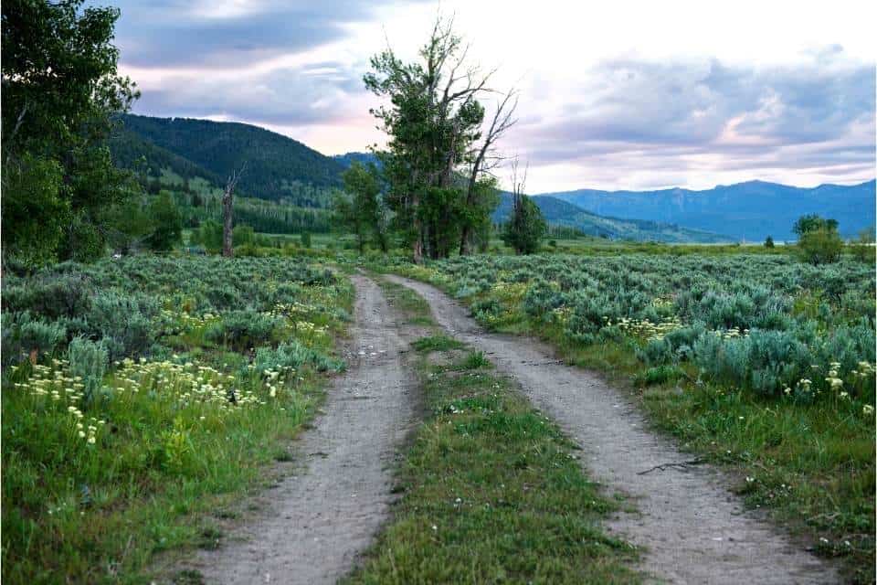 Custer Gallatin National Forest Hiking