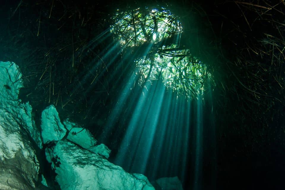 Diving Cenote July