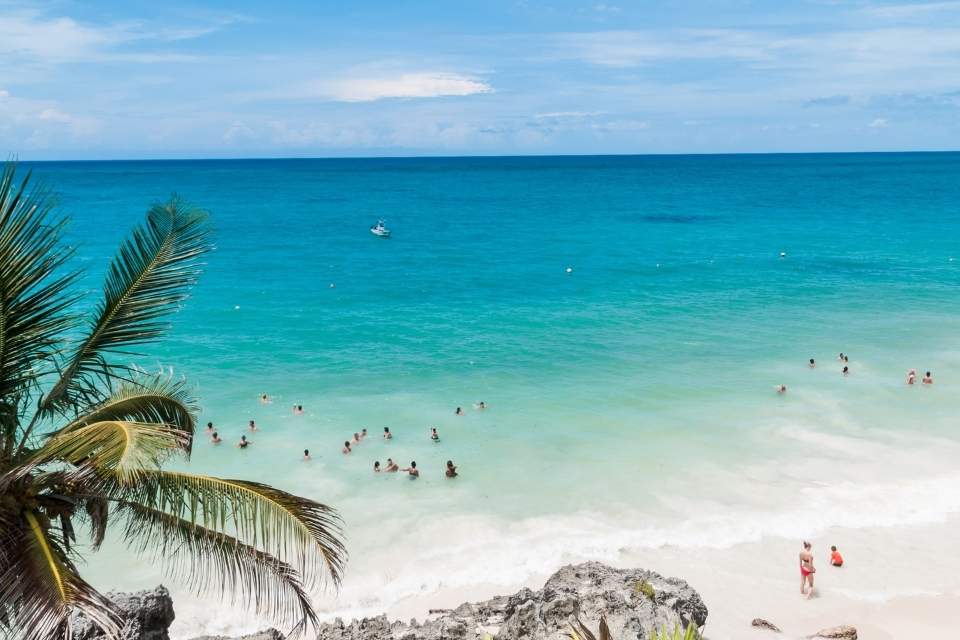 Seaweed In Tulum In March