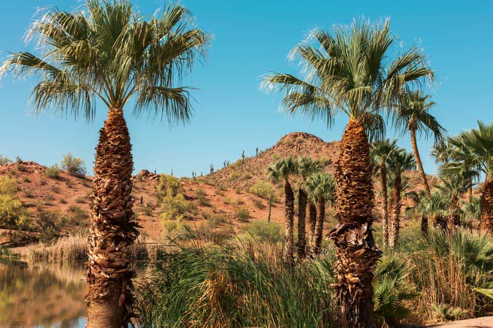 Arizona-Warm-Weather