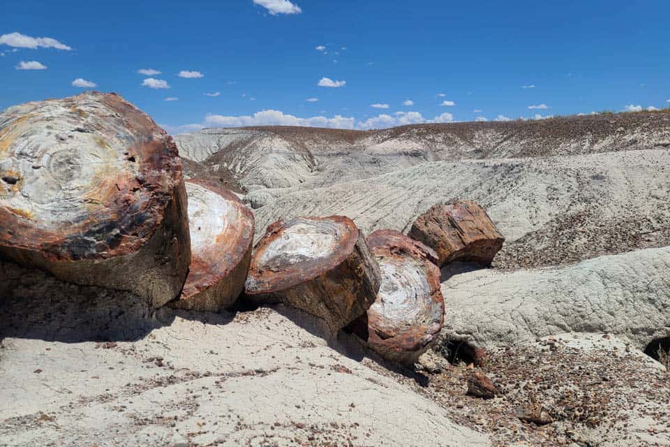 Petrified-Forest-National-Park-Arizona