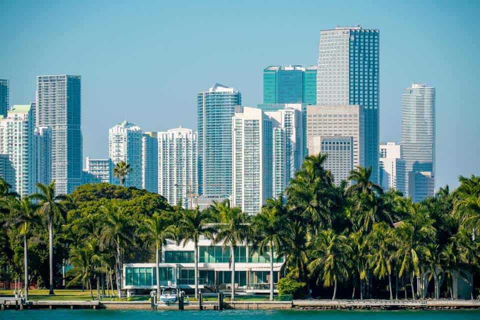 Miami-Palm-Trees-Skyscrapers