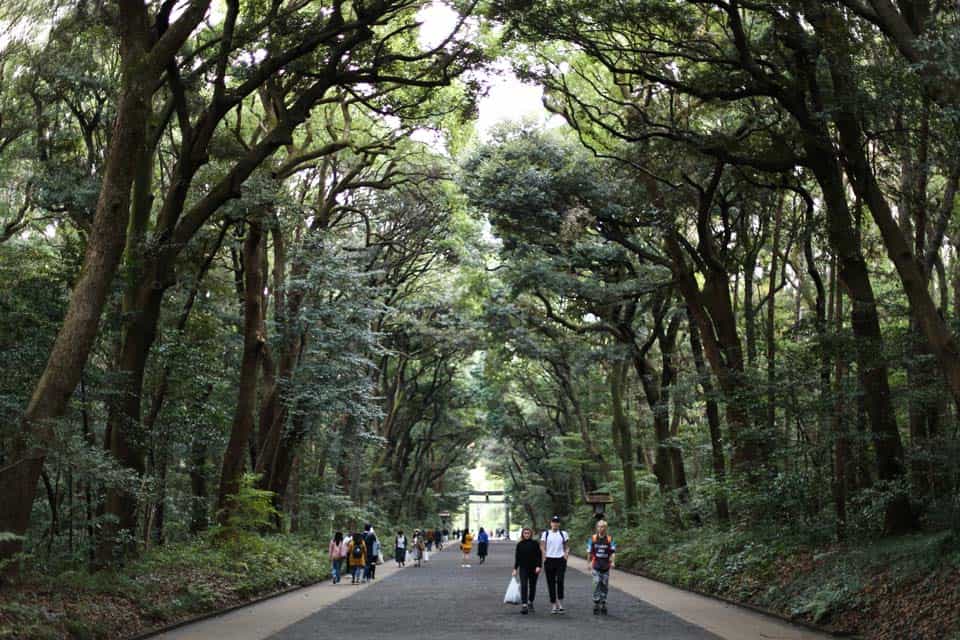 Meiji-Shrine-Yoyogi-Park-Tokyo