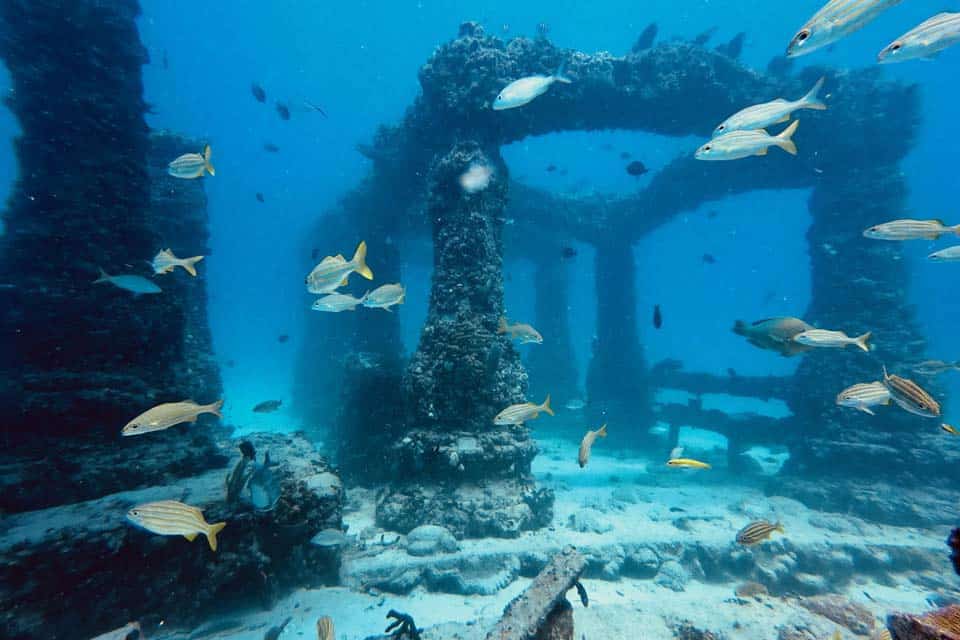 Neptune-Memorial-Reef-Miami-Famous